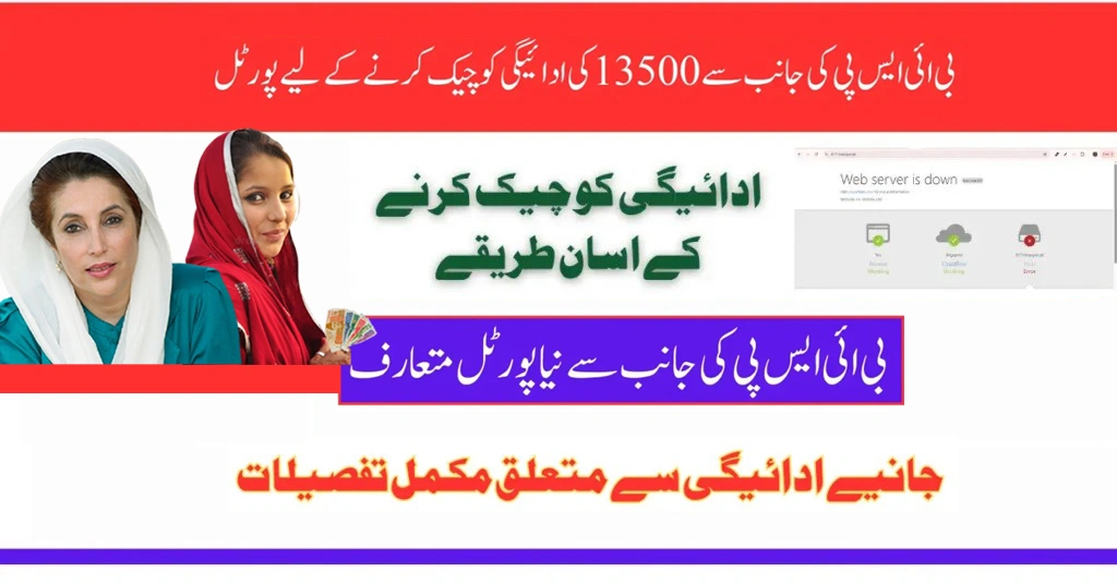 Check Your Rs. 13,500 BISP Payment via 8171 Portal – April 2025 Update